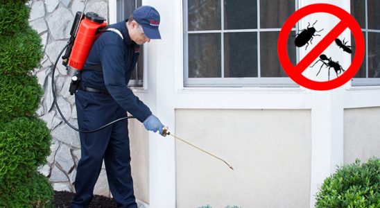 Canik Pire İlaçlama böcek ilaçlama ve haşere kontrolü — ilaclama-tr.com